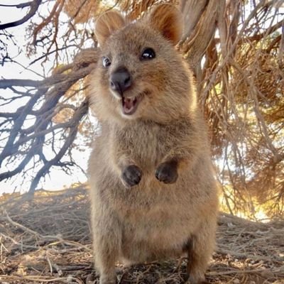 yemmystified's profile picture. “Be sure you put your feet in the right place, then stand firm.”