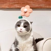 ちょんまげ (@chon_mageko797) 's Twitter Profile