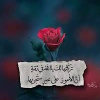 Reem_ra_11's profile picture. 