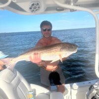 Brad Emendorfer (@tazemendorfer) 's Twitter Profile