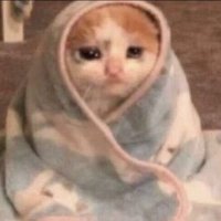 نهى (@nohaalsaqer) Twitter profile photo