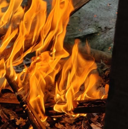 SaidulI98084435's profile picture. 