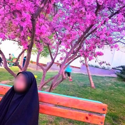 یه مادر دهه شصتی .دارای سه فرزند . خادم امام رضا(ع) . منتظر مهدی فاطمه (س)