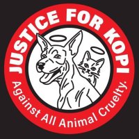 Sylphy_Shifaa (@aajekhassan) 's Twitter Profile Photo