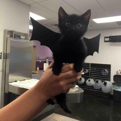 antoine35_'s profile picture. youpi