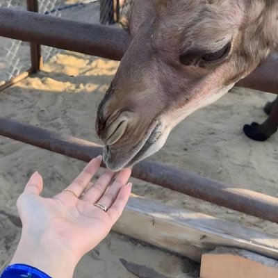⠀ ⠀ ⠀⠀⠀ ⠀ ⠀⠀⠀ ⠀⠀ حـشـيـمهِ عـن طـبـعُ الـمـدانـيـسٓ..