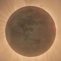 Inner Wisdom Path (@innerwisdompath) 's Twitter Profile