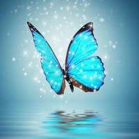 Great soul (@nada36544606) 's Twitter Profile Photo Great soul (@nada36544606) 's Twitter Profile Photo
