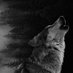 گرگ خاکستری (@6raywolf) Twitter profile photo گرگ خاکستری (@6raywolf) Twitter profile photo