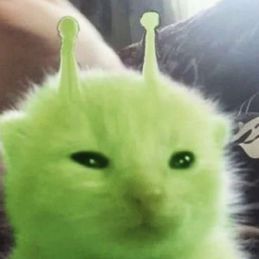 mamfuel's profile picture. buh
