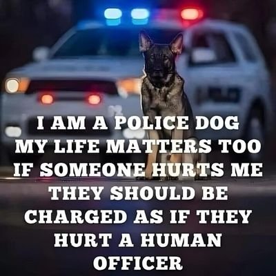 Calcaneus618198's profile picture. 