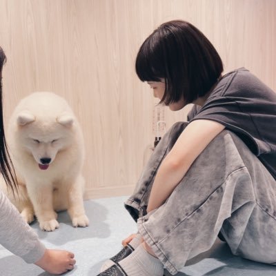 irurukun_xx's profile picture. 壁打ち感想など