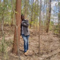 Silas Trees Project (@silasorumba) 's Twitter Profile