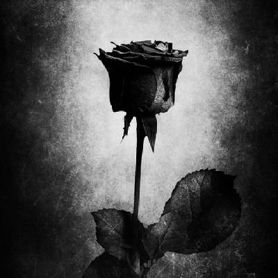 Unknown45283045's profile picture. 
