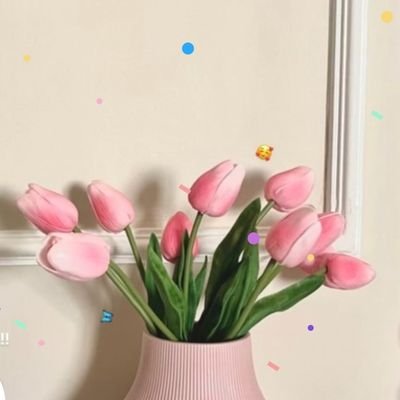 bellahus173211's profile picture. 