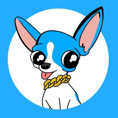 NachoHasBalls's profile picture. Biggest balls on Sui @SuiNetwork