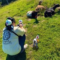 かしも🍙 (@kashimo_nb) 's Twitter Profile