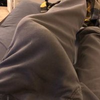 Heavymeat (@mrdonkeypapi) 's Twitter Profile