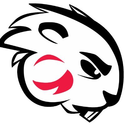 BLACKBURN BASKETBALL Profile