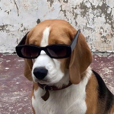 Xxxy673935's profile picture. 