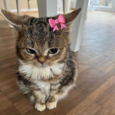 caitlinmarlee's profile picture. all i really want is something beautiful to say | infp | ♒︎ | tpwk | @cait_x2