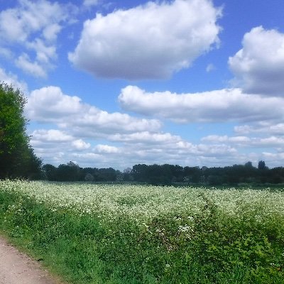 Skywatch144's profile picture. UK-based account focused on action against geoengineering.
Videos on YouTube and Rumble.