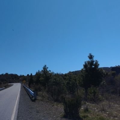 c5436587_c's profile picture. 