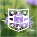 WashU Medicine Clinical Research Training Center (@washumedcrtc) Twitter profile photo WashU Medicine Clinical Research Training Center (@washumedcrtc) Twitter profile photo