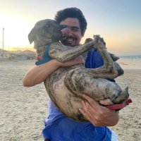 Gustavo Sampaio (@guto__martins) 's Twitter Profile