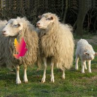 Jürgen Ludwig (@j__ludwig) 's Twitter Profile