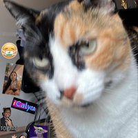 Neymara Puri (@pamadias) 's Twitter Profile Photo Neymara Puri (@pamadias) 's Twitter Profile Photo