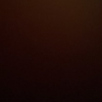lolaololas's profile picture. Learning ✨
