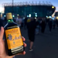M 😎🏴 (@m_cfc1888) 's Twitter Profile