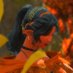 Noemi P. (@noemi_ffxiv) Twitter profile photo Noemi P. (@noemi_ffxiv) Twitter profile photo