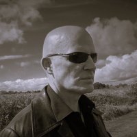 Dark Insights (@dark_insights) Twitter profile photo