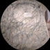 WolfgangDemski🇺🇸🦅 (@wolliswolf93361) Twitter profile photo WolfgangDemski🇺🇸🦅 (@wolliswolf93361) Twitter profile photo