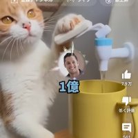 警察 (@amerikantweet) 's Twitter Profile
