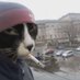CaptainBeepbop (@captain_beepbop) Twitter profile photo CaptainBeepbop (@captain_beepbop) Twitter profile photo