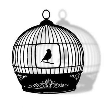 Informasi Tentang Aneka Macam Jenis Burung | Jual Beli Burung | Share Informasi Tentang Burung Berkicau Disini |