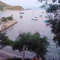 asim (@asim_3435) Twitter profile photo