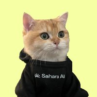 INTERN (@intern_saharaai) 's Twitter Profile Photo INTERN (@intern_saharaai) 's Twitter Profile Photo