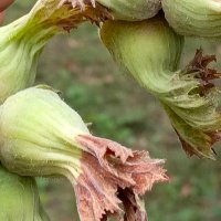 Senol (@senol63969361) Twitter profile photo