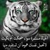 جميل عبداللطيف (@jmylb1224) Twitter profile photo