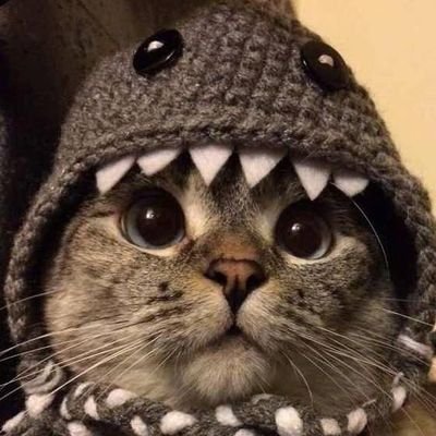 wogharod's profile picture. 