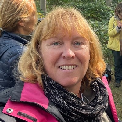 Primary school teacher. NPQSL(RE), Computing specialist, Forest School/Beach School, Early Years. Runner (not fast), allotment/gardening, learning BSL.