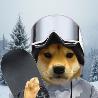 You're Next! (@kingyouarenext) 's Twitter Profile