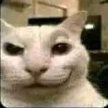 Sprite95923132's profile picture. 