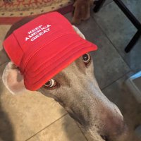 WeimFan (@texasweimfan) 's Twitter Profile