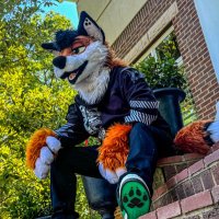 Cooper-Fox (@cooperf0x) 's Twitter Profile