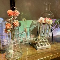 斬羽。 (@kirihane_) 's Twitter Profile Photo